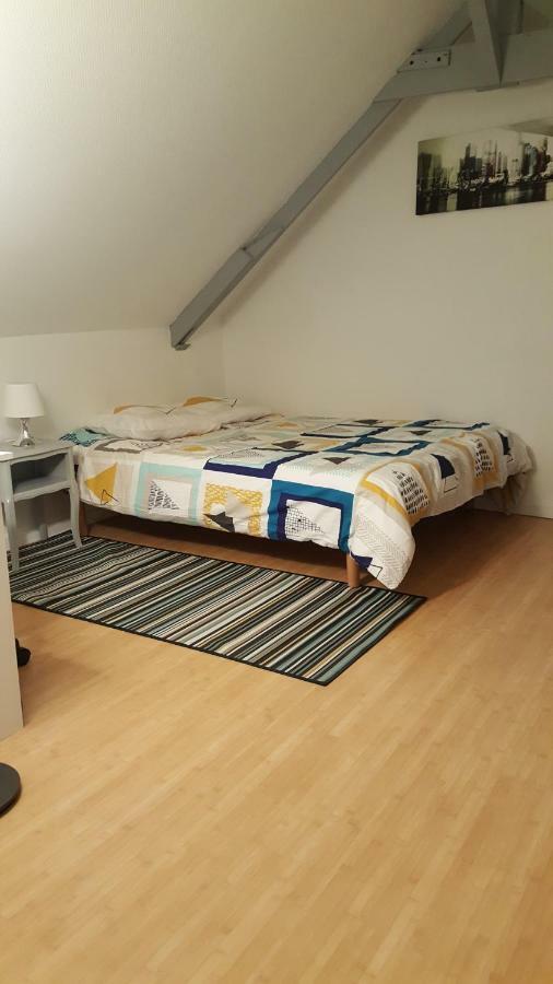 Joli Duplex Gare - Centre Ville 雷恩 外观 照片